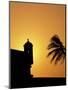 Walls and Forts Built Around the Old City, Cartagena, Colombia-Greg Johnston-Mounted Photographic Print