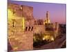 Walls and the Citadel of David in the Old City of Jerusalem, Israel, Middle East-Simanor Eitan-Mounted Photographic Print