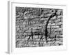 Walls of Babylon-null-Framed Photographic Print