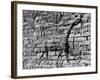 Walls of Babylon-null-Framed Photographic Print