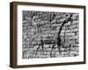 Walls of Babylon-null-Framed Photographic Print