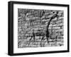 Walls of Babylon-null-Framed Photographic Print