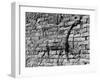 Walls of Babylon-null-Framed Photographic Print