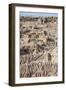 Walls of China-Michael Runkel-Framed Photographic Print