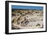 Walls of China-Michael Runkel-Framed Photographic Print