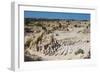 Walls of China-Michael Runkel-Framed Photographic Print