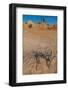 Walls of China-Michael Runkel-Framed Photographic Print