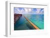 Walls Of Fort Jefferson Dry Tortugas Florida-George Oze-Framed Photographic Print