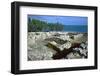 Walls of houses in the Punic town at Kerkovane, 5th century-Unknown-Framed Photographic Print