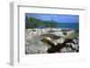 Walls of houses in the Punic town at Kerkovane, 5th century-Unknown-Framed Photographic Print