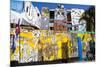 Walls Painted with Afro-Caribbean Art-Lee Frost-Mounted Photographic Print