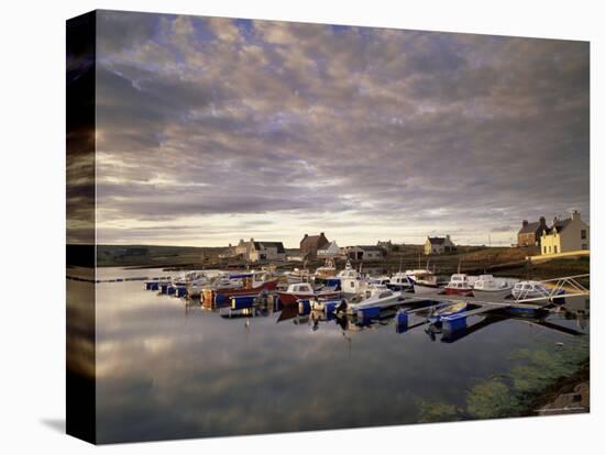 Walls, West Mainland, Shetland Islands, Scotland, United Kingdom, Europe-Patrick Dieudonne-Stretched Canvas