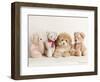 Wally-Rachael Hale-Framed Photographic Print