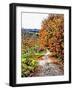 Walnut Avenue In Autumn Umbria-Dorothy Berry-Lound-Framed Giclee Print