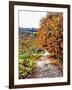 Walnut Avenue In Autumn Umbria-Dorothy Berry-Lound-Framed Giclee Print