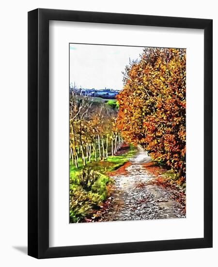 Walnut Avenue In Autumn Umbria-Dorothy Berry-Lound-Framed Giclee Print