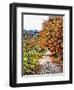 Walnut Avenue In Autumn Umbria-Dorothy Berry-Lound-Framed Giclee Print