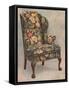Walnut chair covered with needlework, 1905-Shirley Slocombe-Framed Stretched Canvas