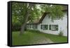 Walnut Tree in the Garden of an Old Thatched House-Uwe Steffens-Framed Stretched Canvas