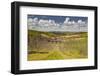 Walnut Trees Amongst the Dordogne Countryside of South Western France, Europe-Julian Elliott-Framed Photographic Print