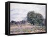 Walnut Trees, Effect of the Setting Sun - First Day of October, 1882-Alfred Sisley-Framed Stretched Canvas