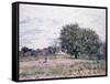 Walnut Trees, Effect of the Setting Sun - First Day of October, 1882-Alfred Sisley-Framed Stretched Canvas