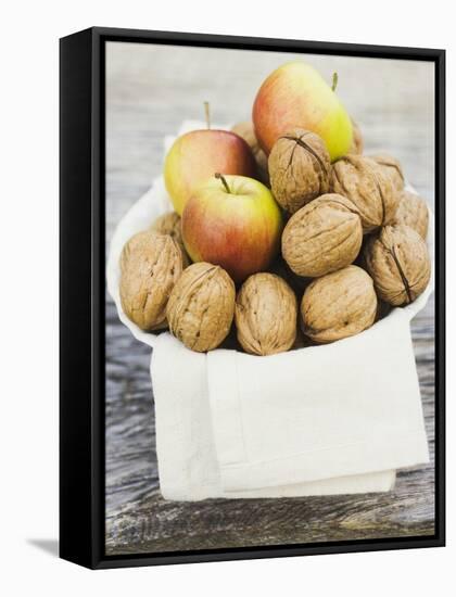 Walnuts and Apples on Cloth in White Bowl-null-Framed Stretched Canvas