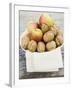 Walnuts and Apples on Cloth in White Bowl-null-Framed Photographic Print