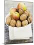 Walnuts and Apples on Cloth in White Bowl-null-Mounted Photographic Print