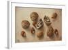 Walnuts and Hazelnuts, 2014-Cristiana Angelini-Framed Giclee Print