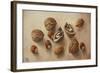 Walnuts and Hazelnuts, 2014-Cristiana Angelini-Framed Giclee Print