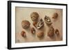 Walnuts and Hazelnuts, 2014-Cristiana Angelini-Framed Giclee Print