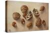 Walnuts and Hazelnuts, 2014-Cristiana Angelini-Stretched Canvas