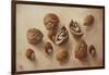 Walnuts and Hazelnuts, 2014-Cristiana Angelini-Framed Giclee Print