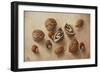 Walnuts and Hazelnuts, 2014-Cristiana Angelini-Framed Giclee Print