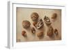 Walnuts and Hazelnuts, 2014-Cristiana Angelini-Framed Giclee Print