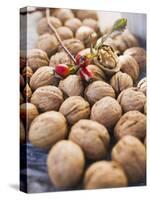 Walnuts and Rose Hips-null-Stretched Canvas