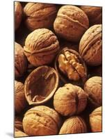 Walnuts-Vladimir Shulevsky-Mounted Photographic Print