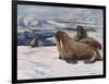 Walrus 1909-Cuthbert Swan-Framed Art Print