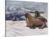 Walrus 1909-Cuthbert Swan-Stretched Canvas