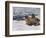 Walrus 1909-Cuthbert Swan-Framed Art Print