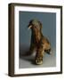 Walrus, 2015,-Peter Jones-Framed Giclee Print