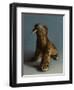 Walrus, 2015,-Peter Jones-Framed Giclee Print