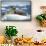 Walrus and Calf Resting on Ice in Hudson Bay, Nunavut, Canada-Paul Souders-Framed Stretched Canvas displayed on a wall