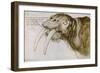 Walrus, around 1515. Pen and watercolour on paper, 20,9 x 30,9 cm.-Albrecht Dürer-Framed Giclee Print