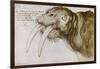 Walrus, around 1515. Pen and watercolour on paper, 20,9 x 30,9 cm.-Albrecht Dürer-Framed Giclee Print