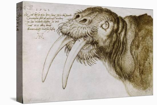 Walrus, around 1515. Pen and watercolour on paper, 20,9 x 30,9 cm.-Albrecht Dürer-Stretched Canvas