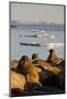 Walrus Colony Near Kapp Lee in Midnight Sun-Paul Souders-Mounted Photographic Print