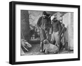 Walrus Cub, 1899-Frederick George Jackson-Framed Giclee Print