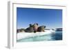 Walrus Herd on Ice, Hudson Bay, Nunavut, Canada-Paul Souders-Framed Photographic Print